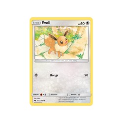 Kit Du Dresseur Pikachu & Evoli Pokémon