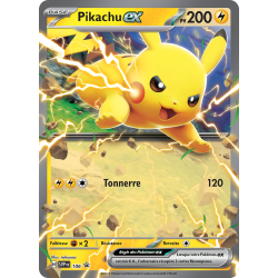 Académie de Combat 2024 Pokémon