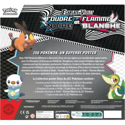 Coffret Poster Foudre Noire & Flamme Blanche Pokémon